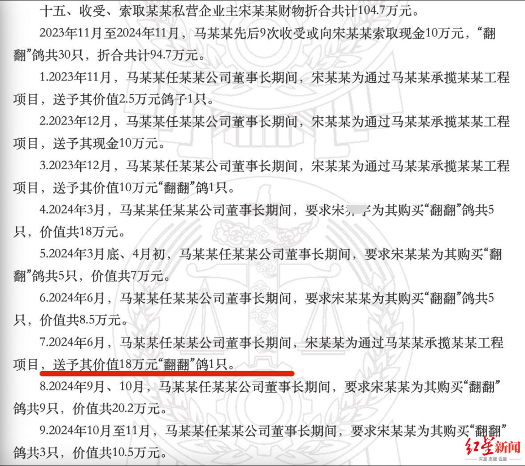 一位导演痴迷“落鸽”，要了95只，价值超过新台