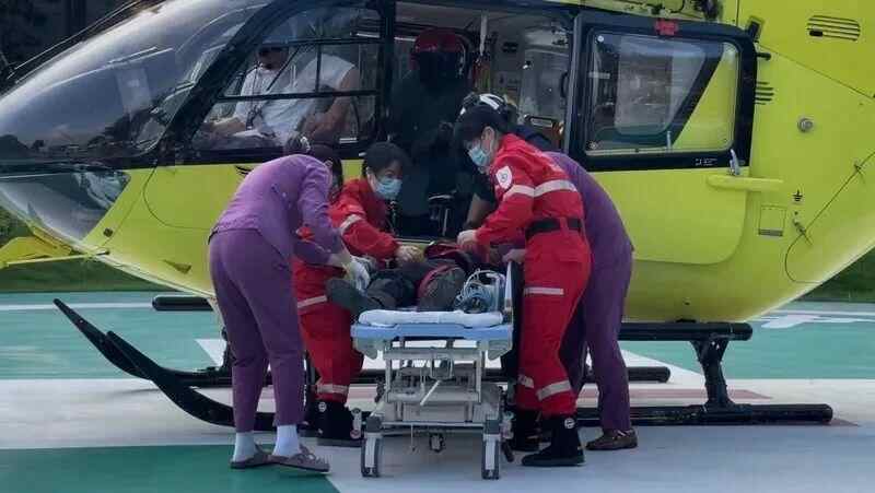 广东一市民公园突然遭黄蜂袭击，10分钟后直升机