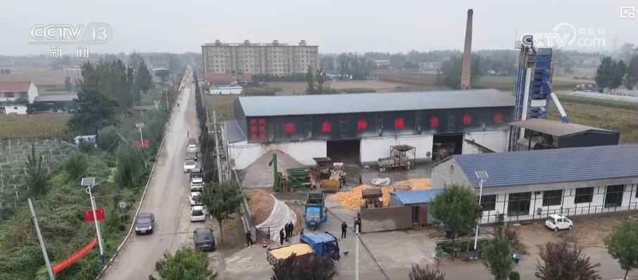 各地多措并举，迎雨回升秋收：“粮食银行”保