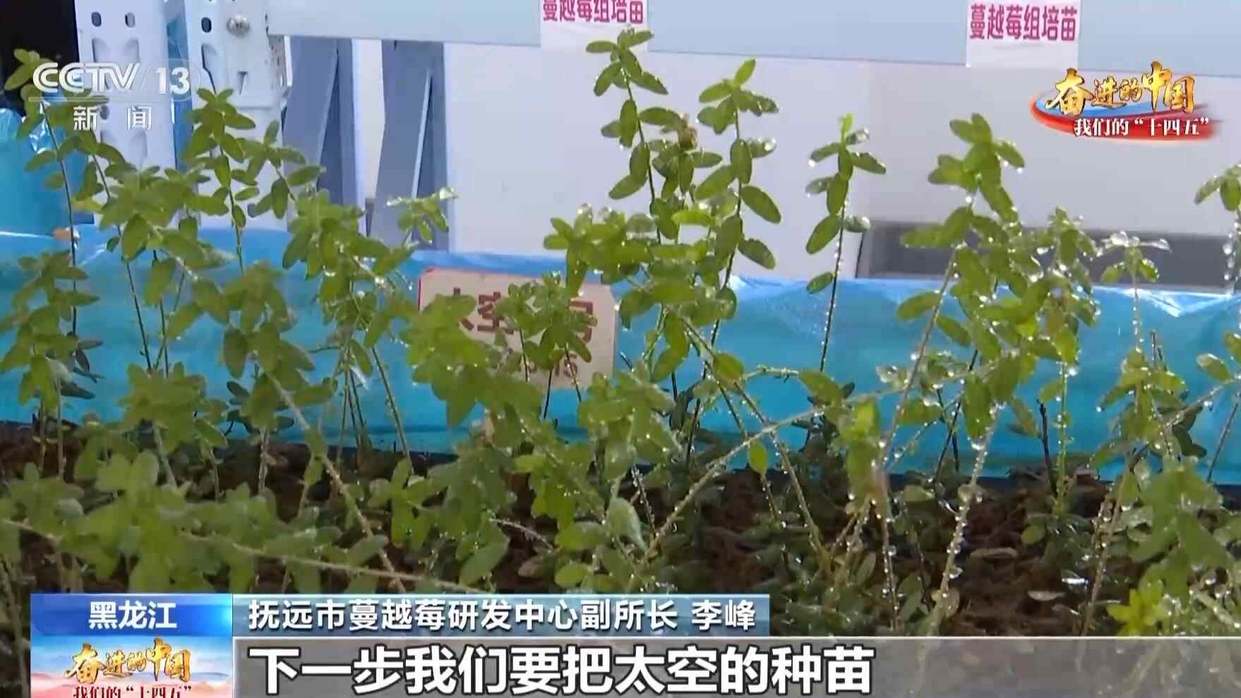 空间祭祀、机械收获……创新科技让“隐藏”特