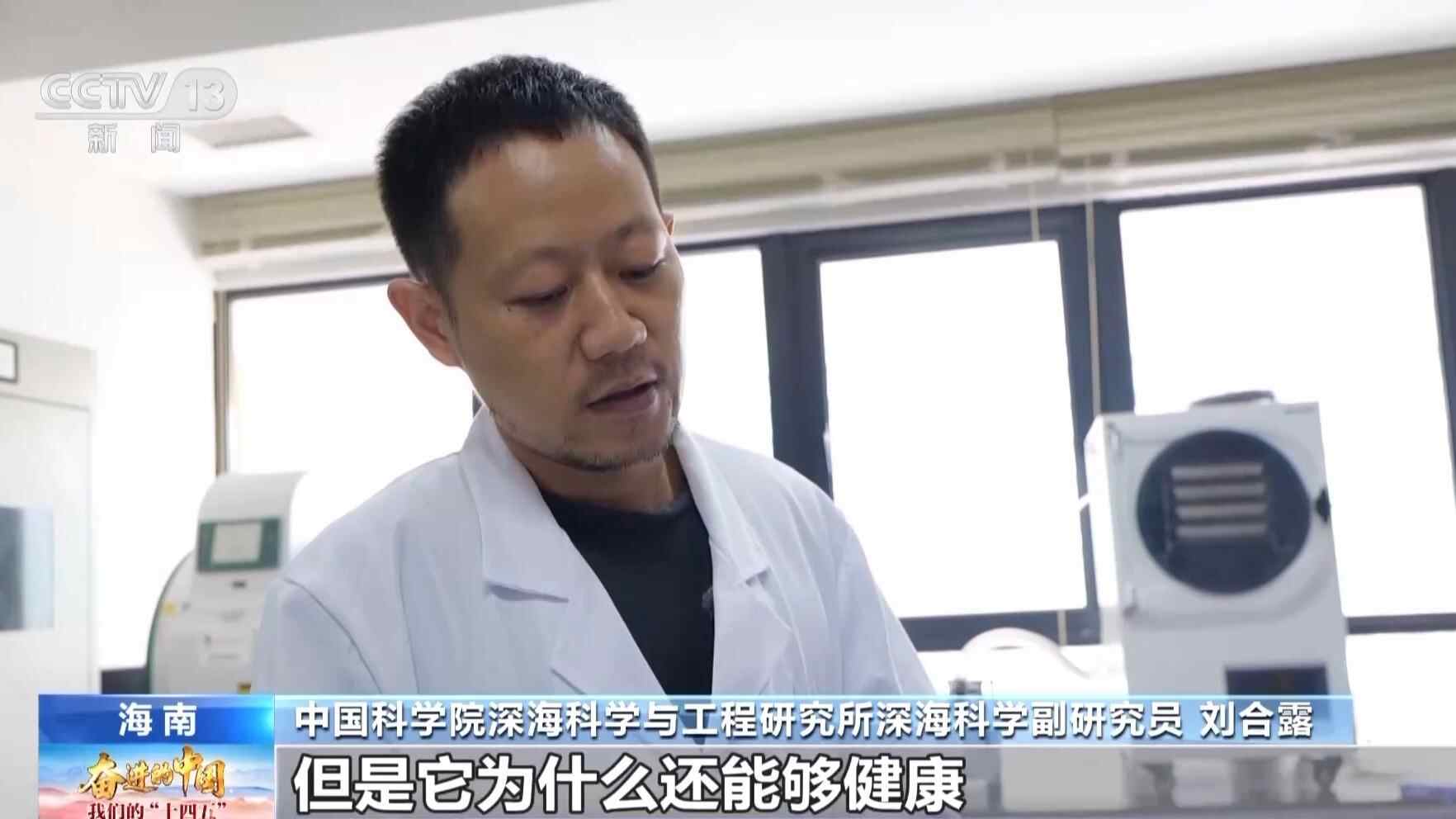 继续追逐深蓝色的梦想！我国万米深潜已成常态