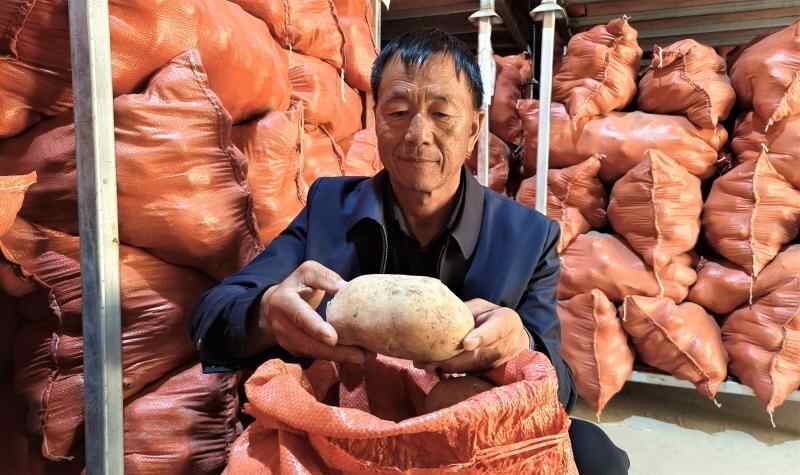 谁是金秋收获之王