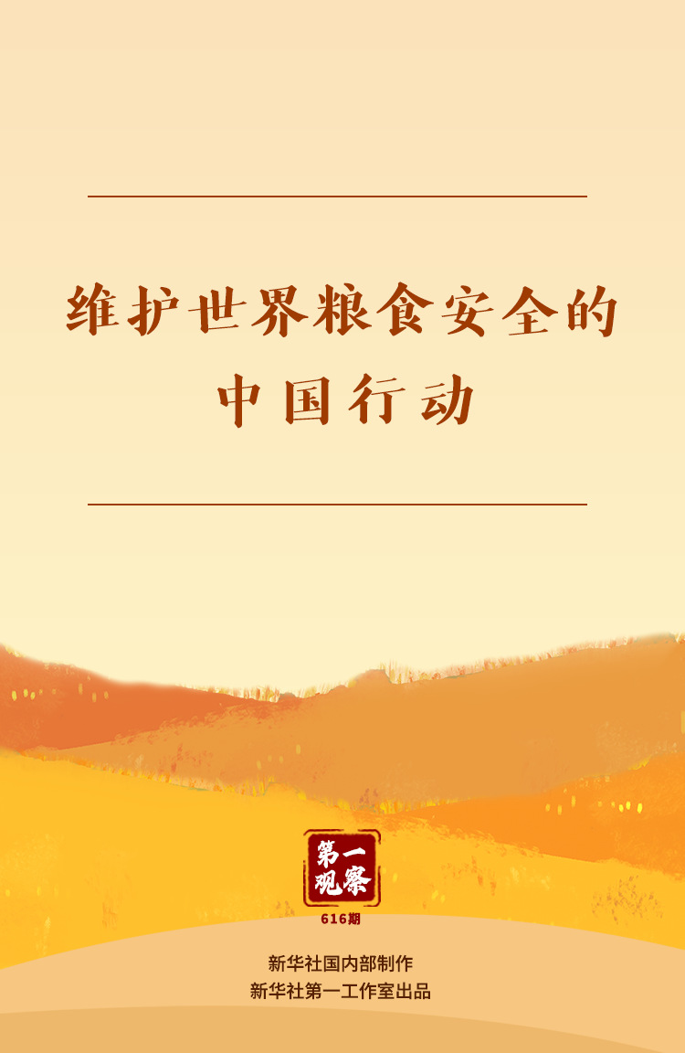 第一观察｜中国维护世界粮食安全的行动