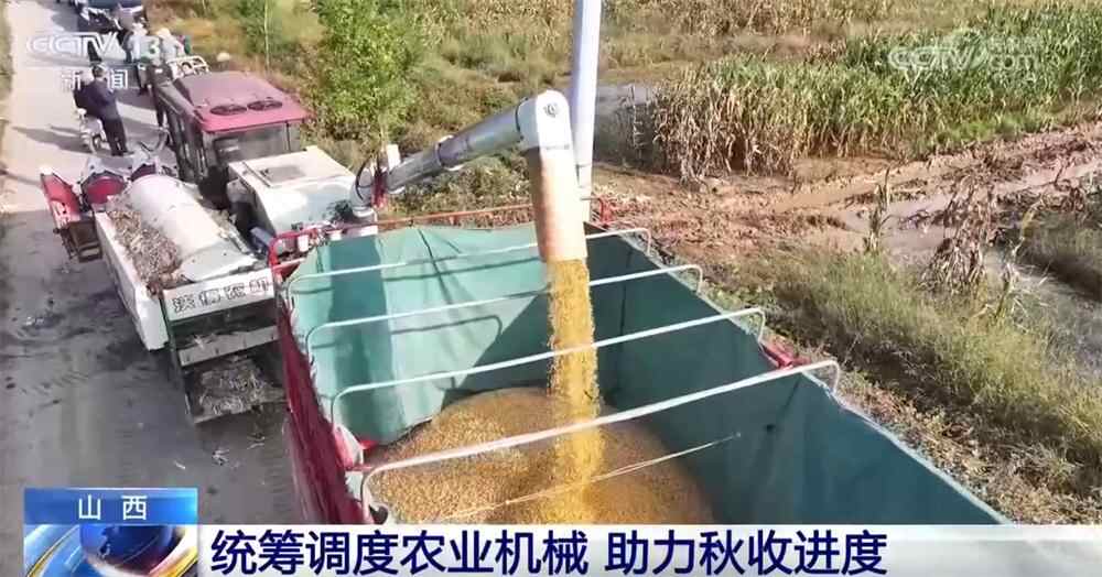 不少地区“手指握成拳头”，打响秋收“攻坚战