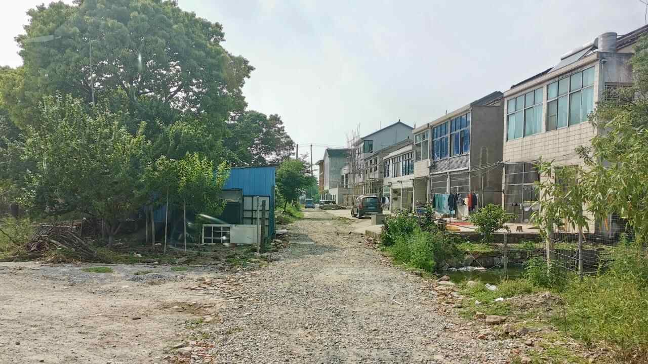 经济大省引领、韧性中国｜以高质量发展支撑人