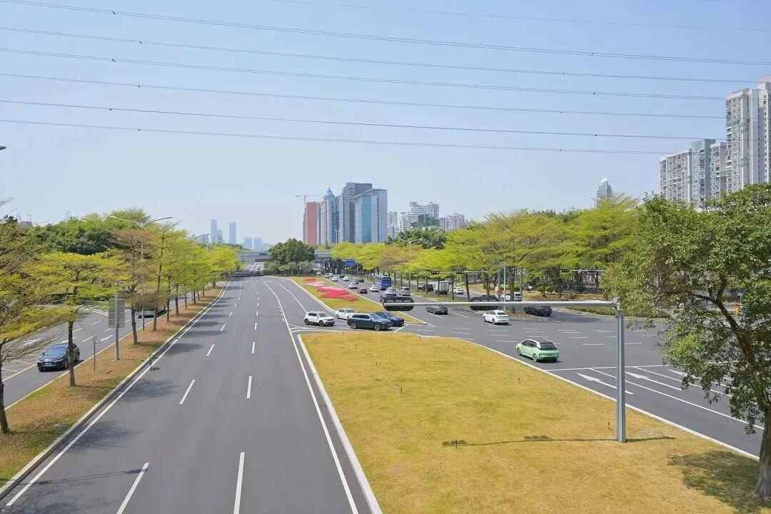 道路破损、井盖破裂、路牌挡路……为何深圳人