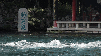 一生一定要来济南一次，赏温泉！