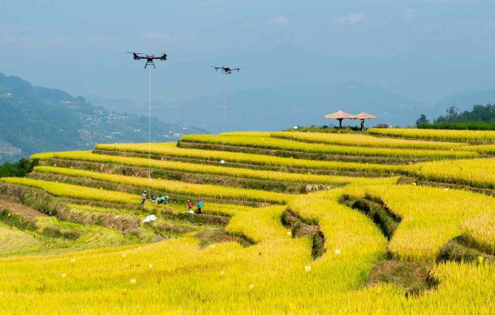 新华社·“十四五”亮点