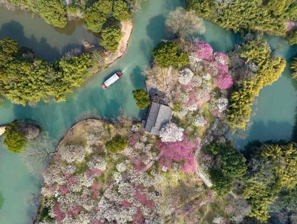 共建青山现代化——中国助力建设清洁美丽世界