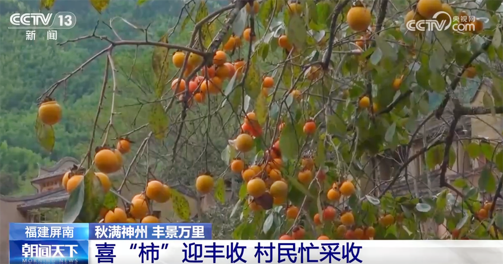 传统与现代融合的“交响乐”，古村呈现出“人