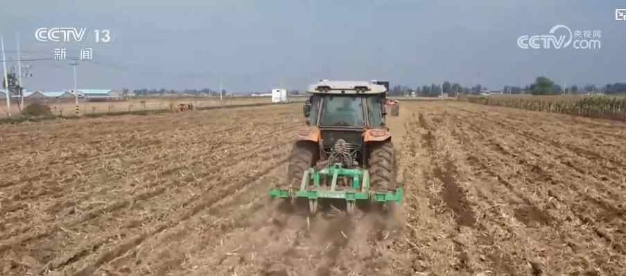 多地抢播小麦抗击秋涝：农业技术指导+农机作业