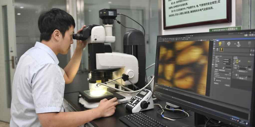  科技赋能，解锁新时代大国粮仓的“智慧密码”