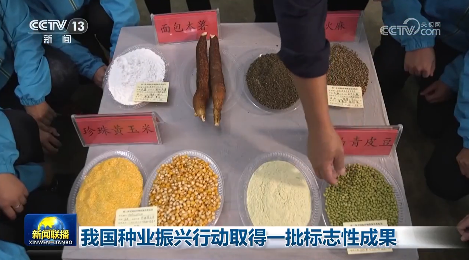 振兴种业取得多项标志性成果