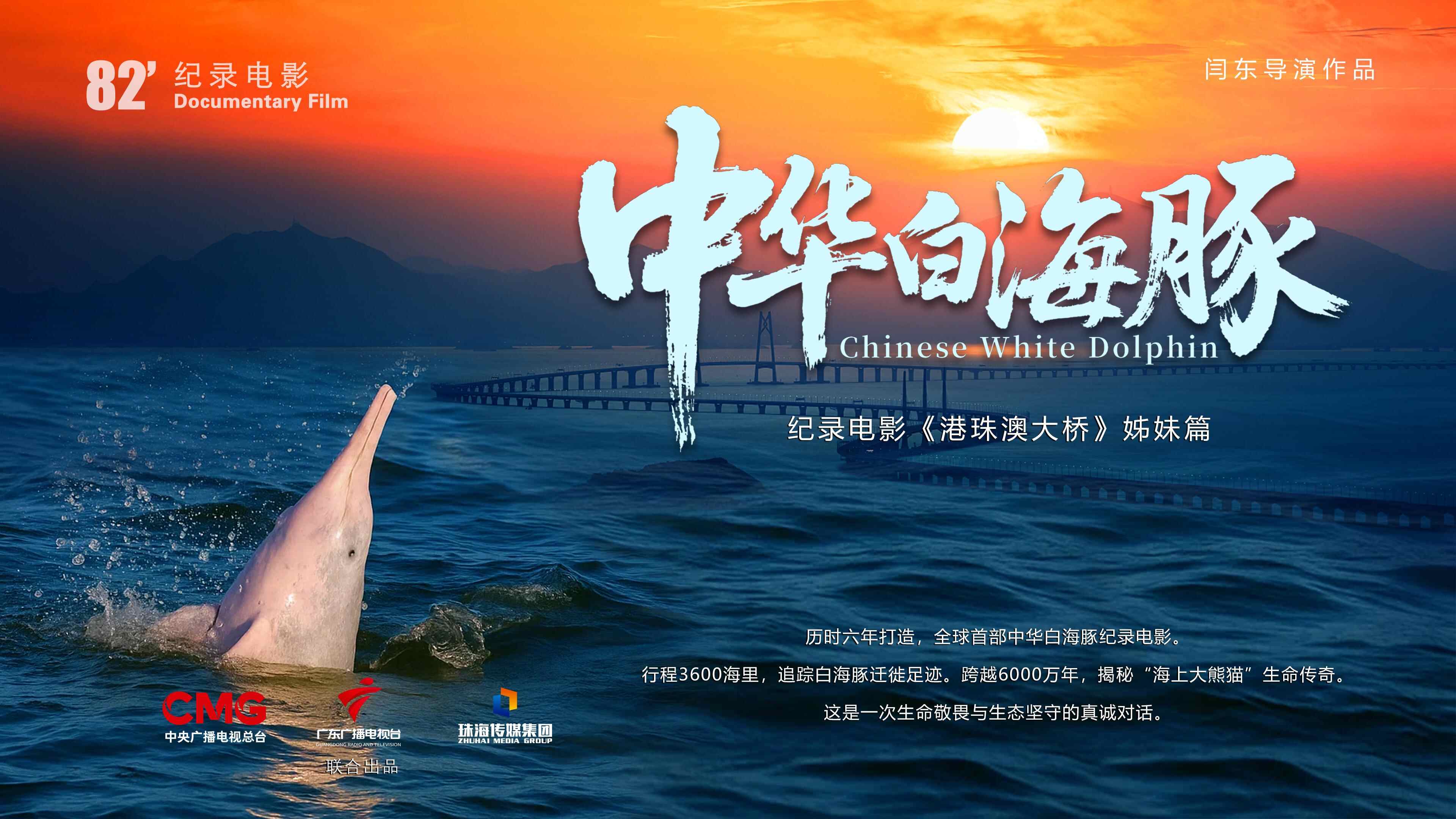 当中华白海豚“跃”上大银幕,我们看到了什么?