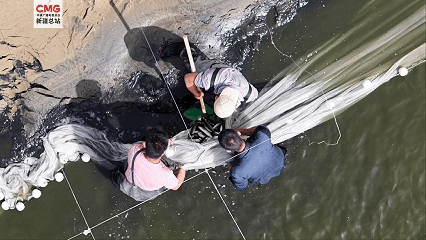 新疆巴州：“死亡之海”变“鱼米之乡”