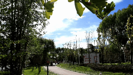 遇见你，美丽的西藏！