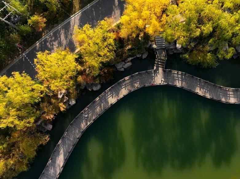 美丽中国丨塞上湖城秋意浓