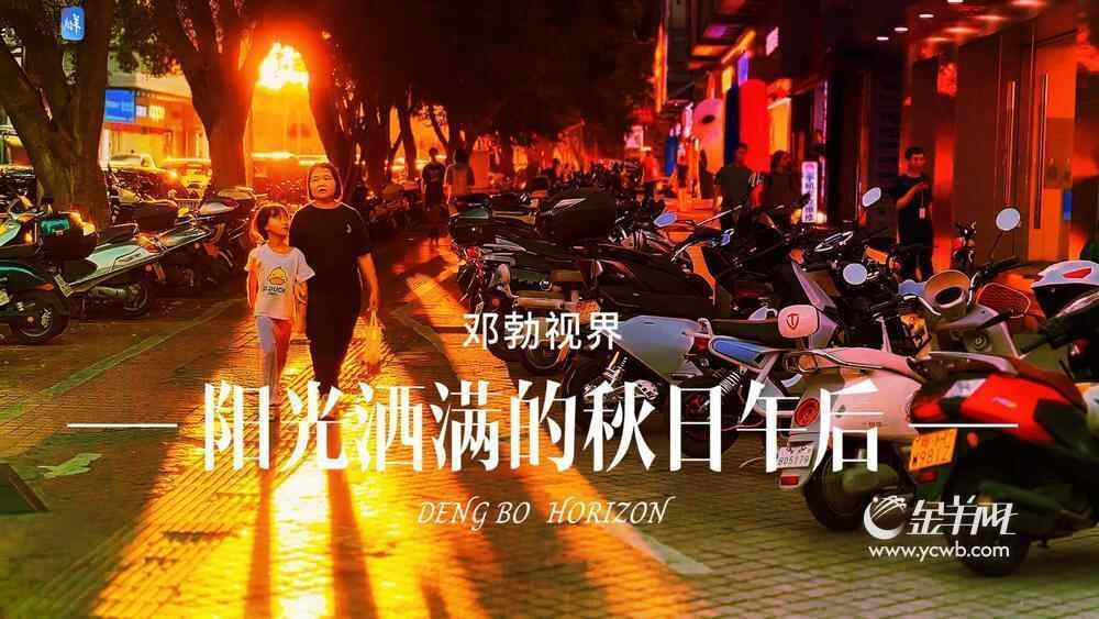 邓勃视界|阳光洒满的秋日午后