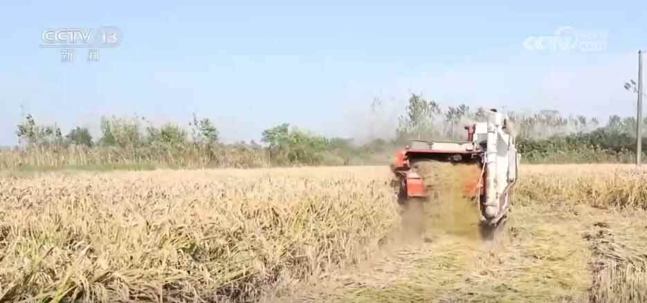 “农机+农业科技”助力秋收秋种,特种养