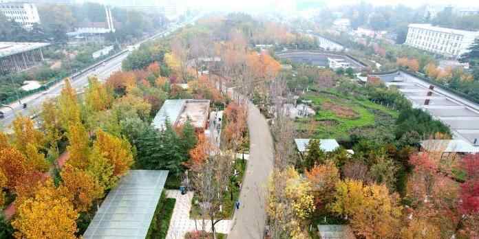  陕西西安：幸福林带五彩斑斓