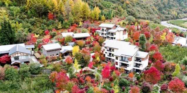  四川汶川：万亩彩林迎来最佳观赏期