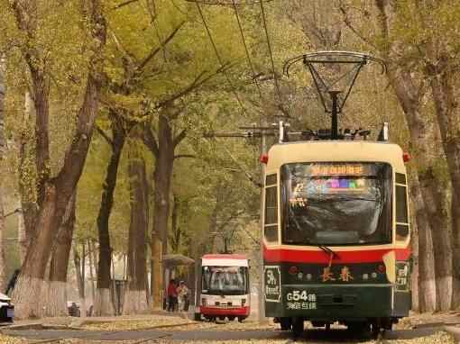 吉林长春秋色浓