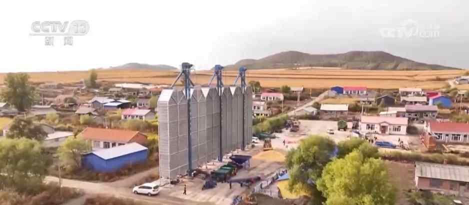 观察第一条秋收线