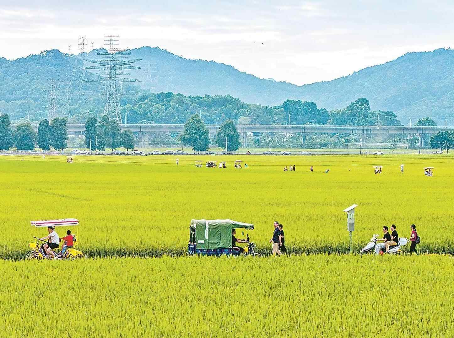 广东推进“百千万工程” 区域产业协同发展取得实效