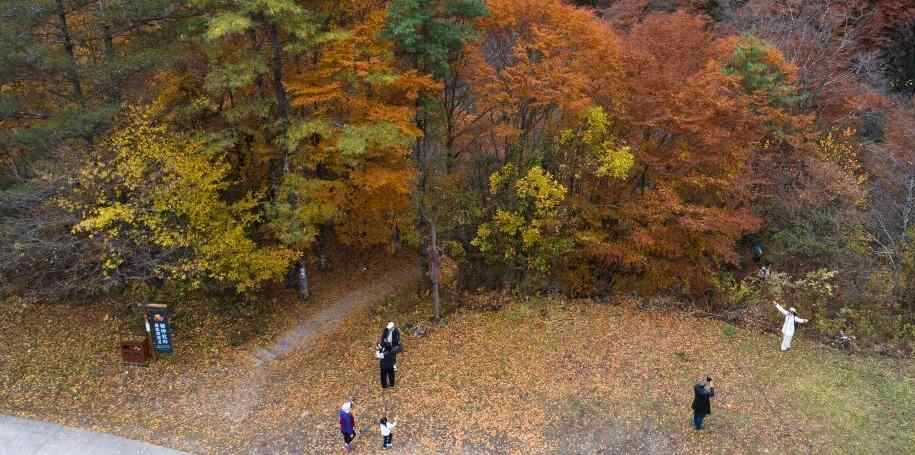  陕西南郑：秋色斑斓