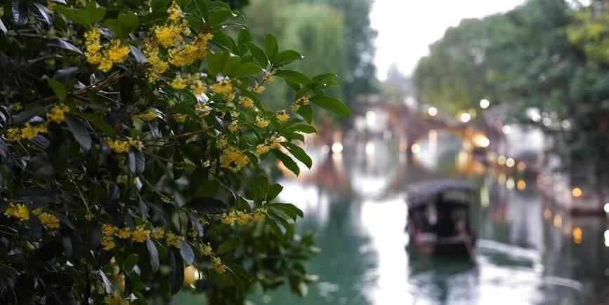  千年古镇静候互联网峰会启幕