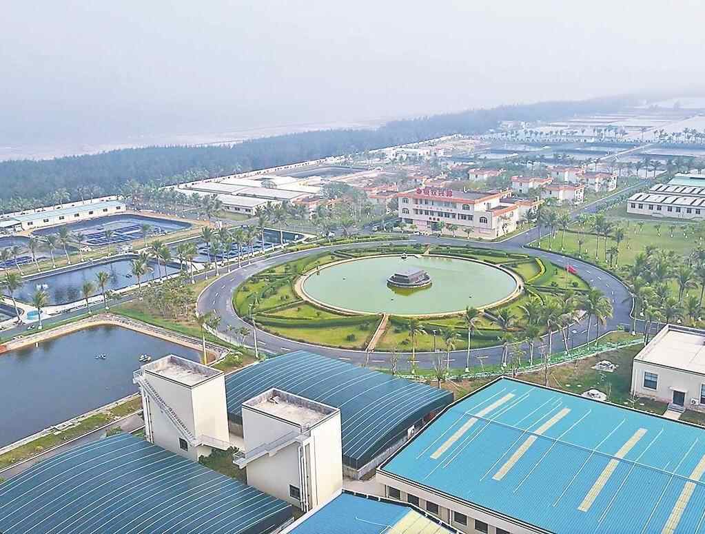 碧海绿洲映鹭影 红林如画守初心