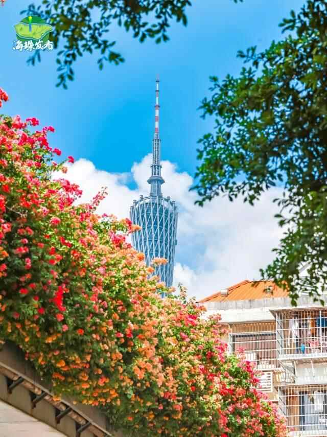 文化中国行·立冬