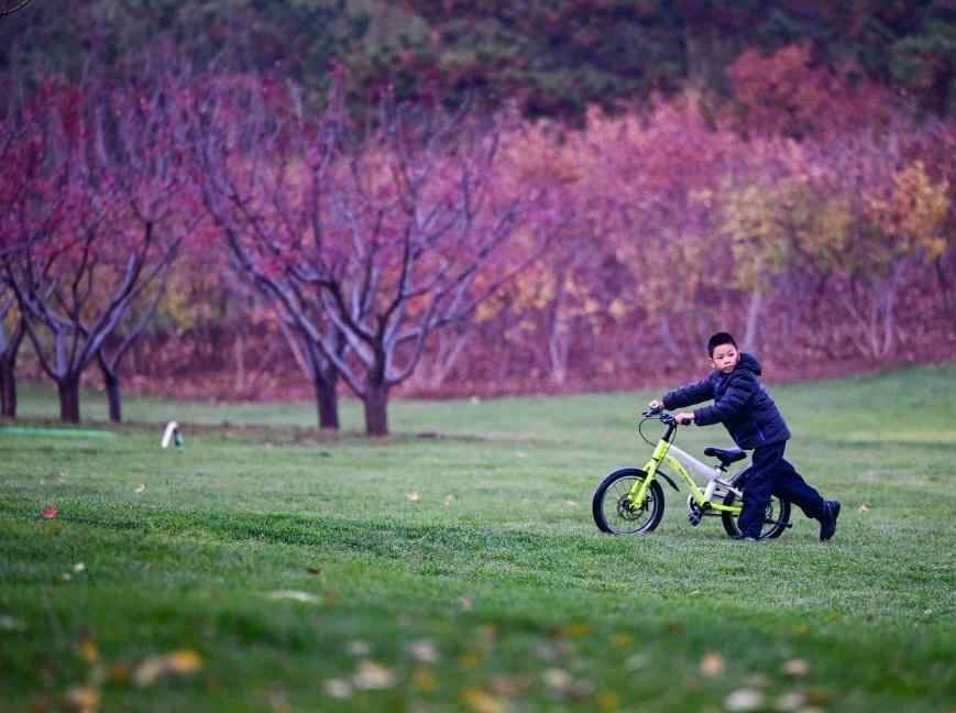 初冬京郊:斑斓画卷徐徐展开