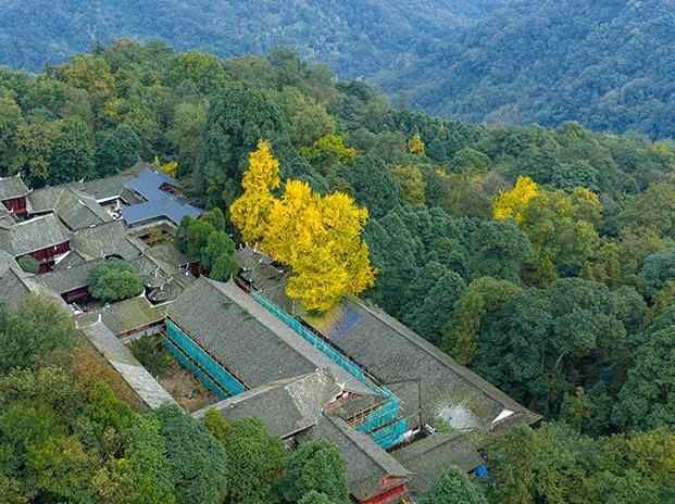  四川都江堰：青城山景区秋色美如画