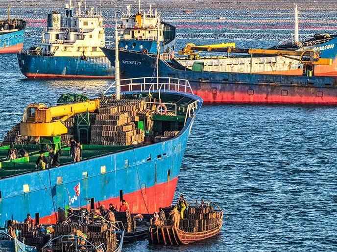  山东荣成：1200万头鲍鱼南下“越冬”