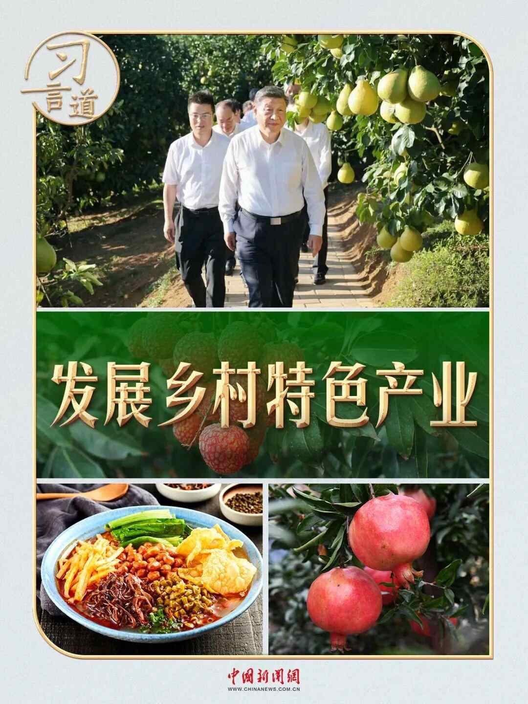习近平|从荔枝园到柚园，习近平时刻牵挂