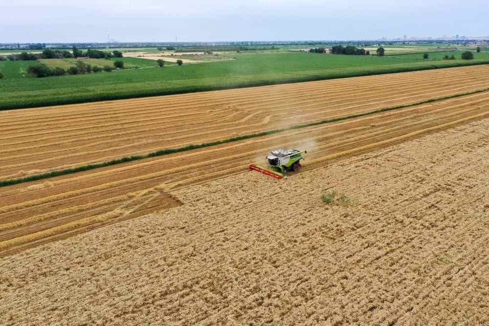 来昌吉体验“吨”棉粮煤