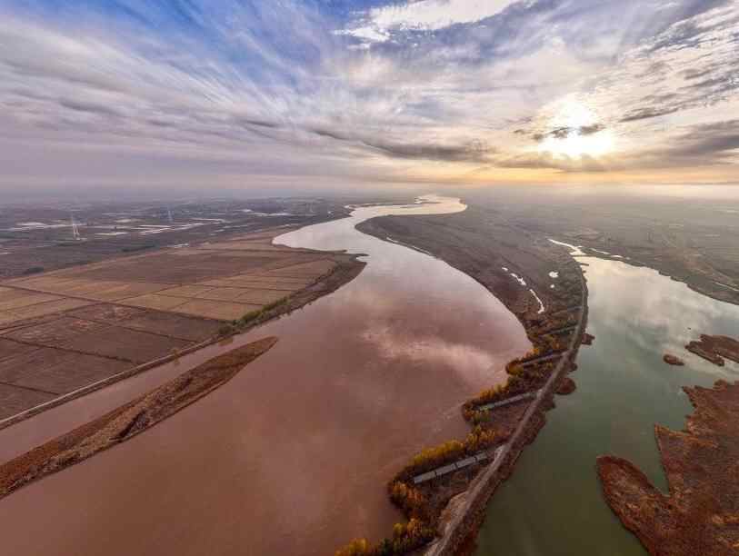 保护黄河湿地 守护候鸟家园