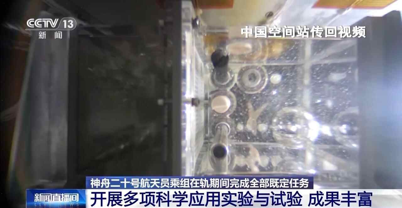 视频丨在轨停留203天。神20完成了哪些任