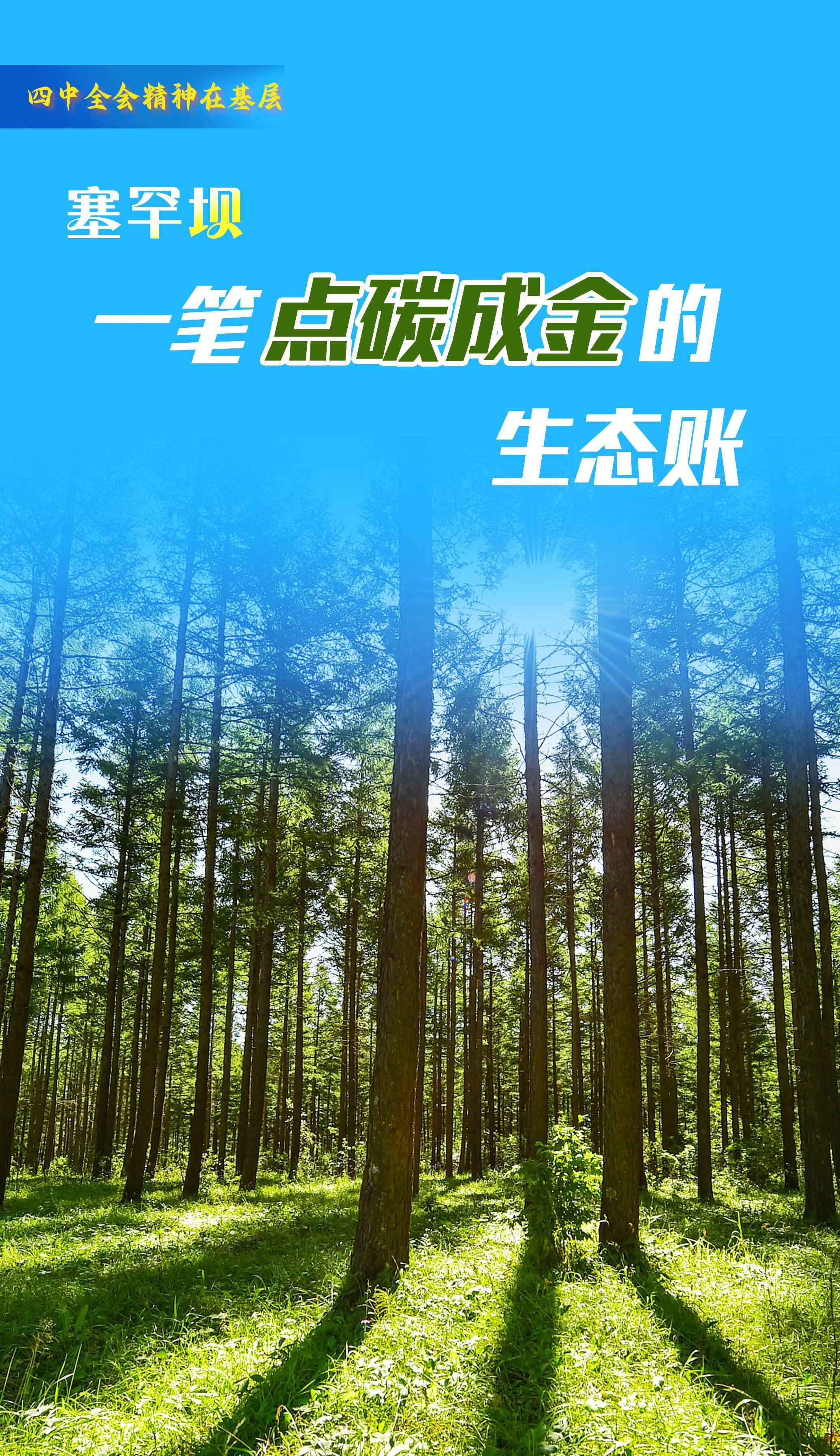 中共四中全会精神深入基层 变“碳”为“金”的