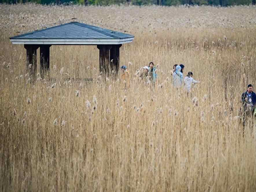 初冬园博园,周末好时光