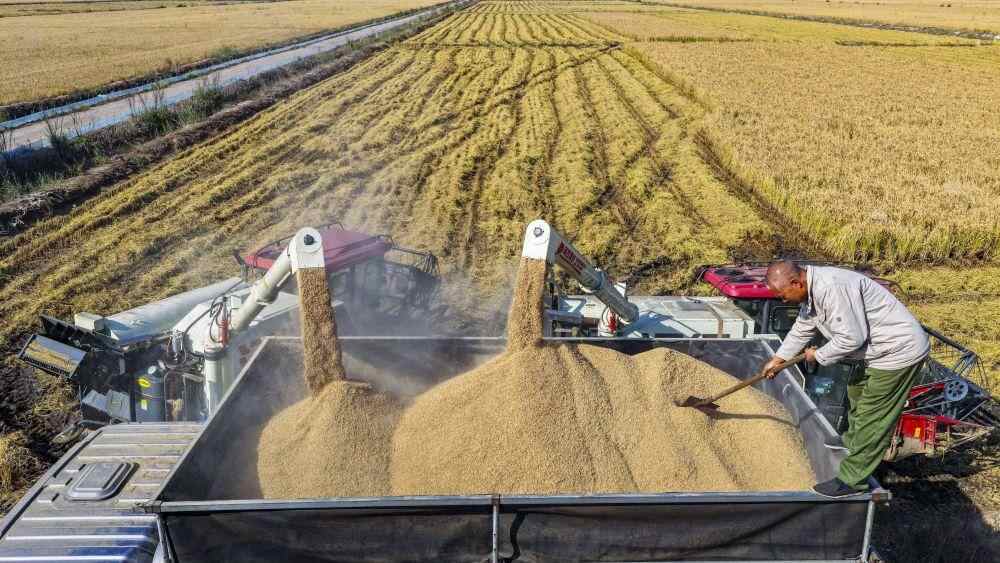 权威解读｜从10月数据看中国经济增长点