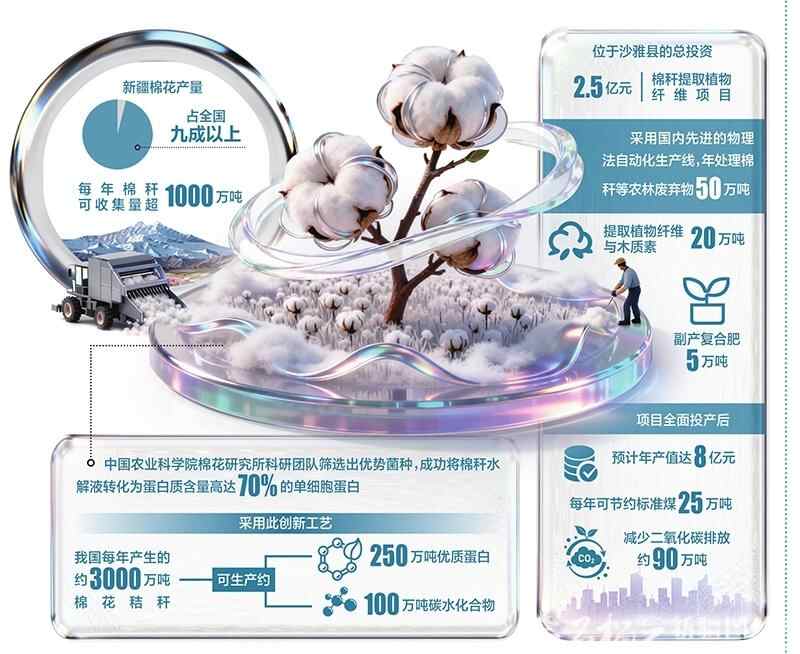 新疆棉秆如何变金
