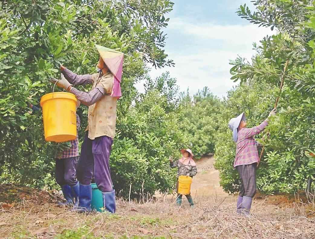 蓝绿交织，南粤何以如此多娇？