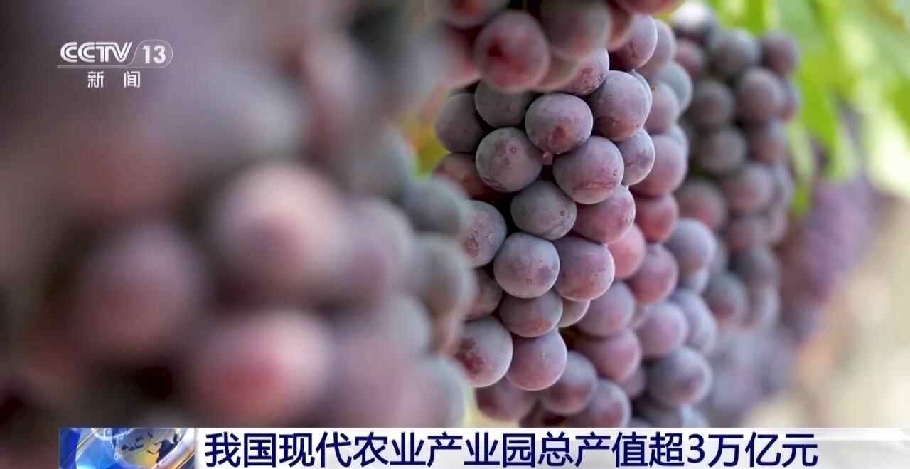 视频丨我国现代农业产业总产值突破3万亿元