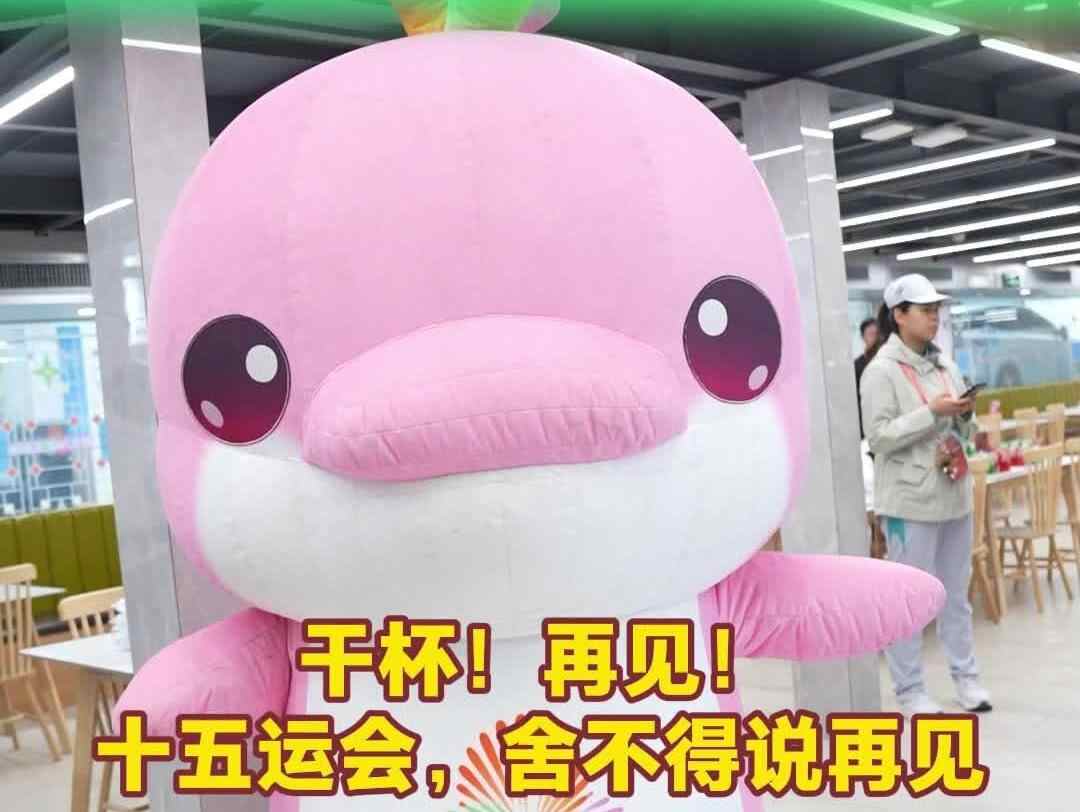  十五运会，舍不得说再见！幕后的他们分享“全运记忆”