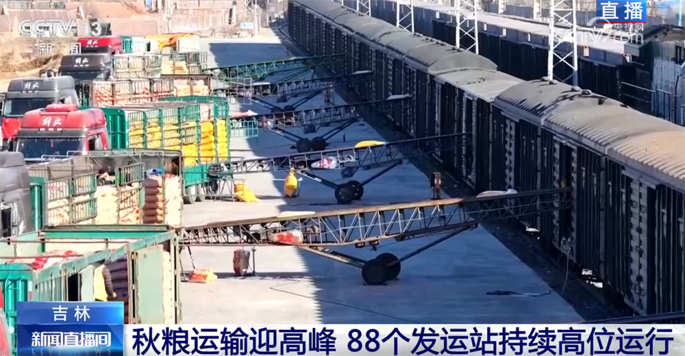 “铁海联运”“黄金水道”按下秋粮运输“加速键”，筑牢国家粮食安全屏障