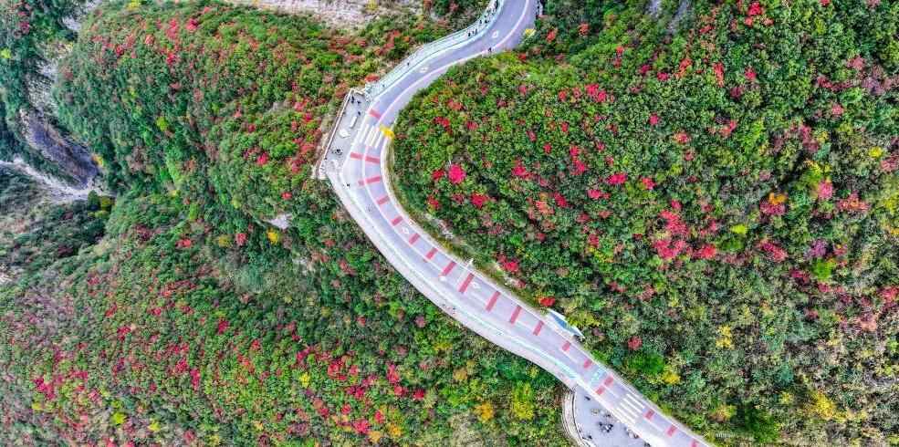  红叶扮靓长江巫峡