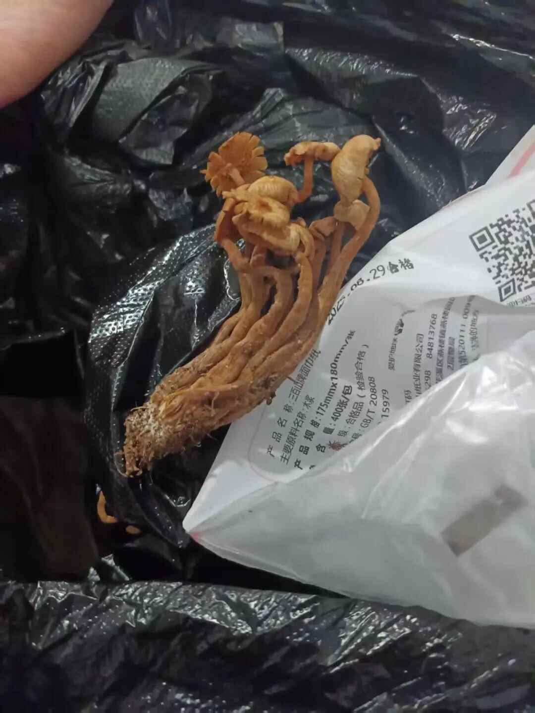 3人不幸去世，亲人：中午吃饭，晚上又吃了……