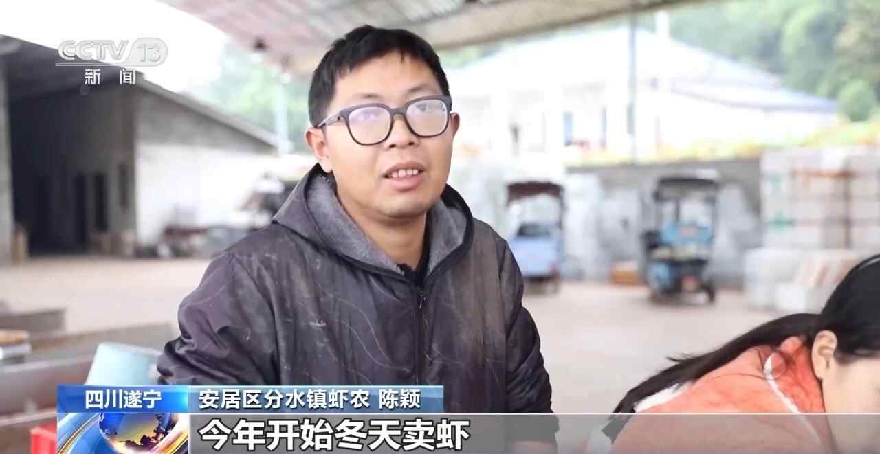 视频丨小龙虾错时上市，